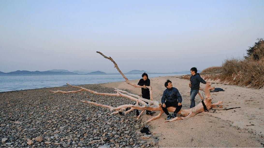 漂流した流木もなんだかカッコいい。
