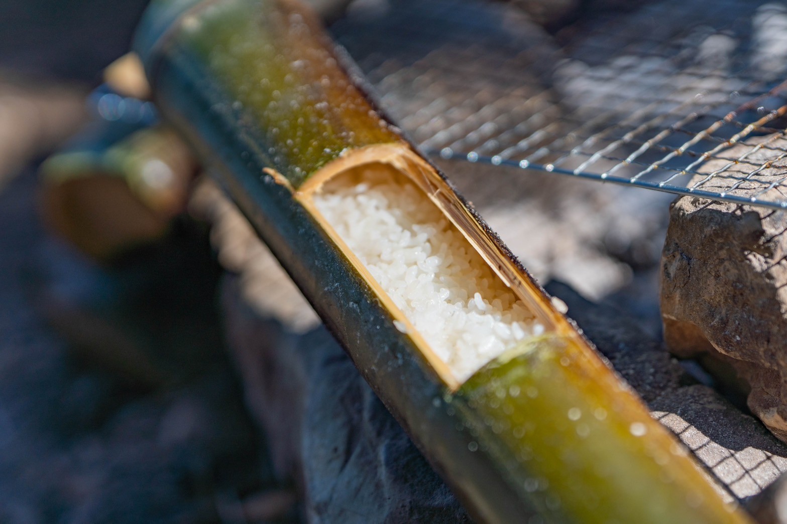 島に自生する竹を使ってサバイバル料理にチャレンジ？！