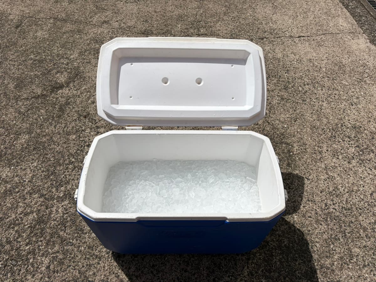 氷（クーラーボックス半分）※食用不可