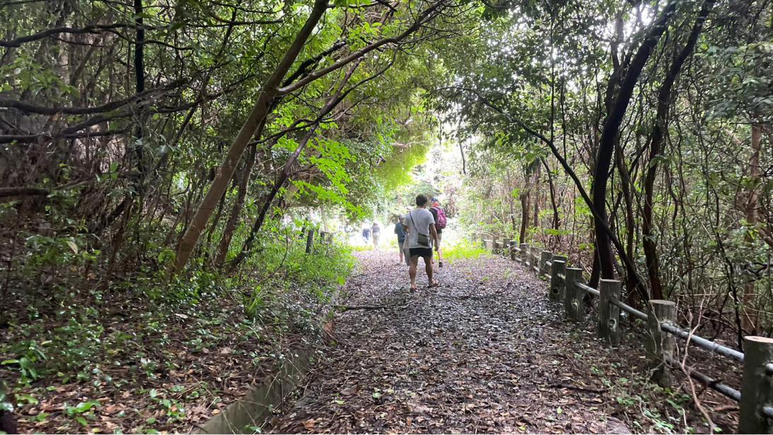 木漏れ日が差し込む、神社の参道。探検も楽しい島。