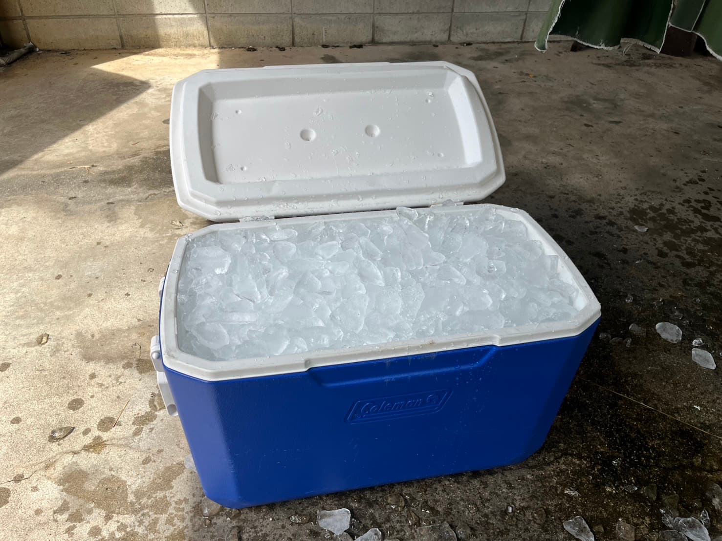 氷（クーラーボックス付き、満タン）※食用不可