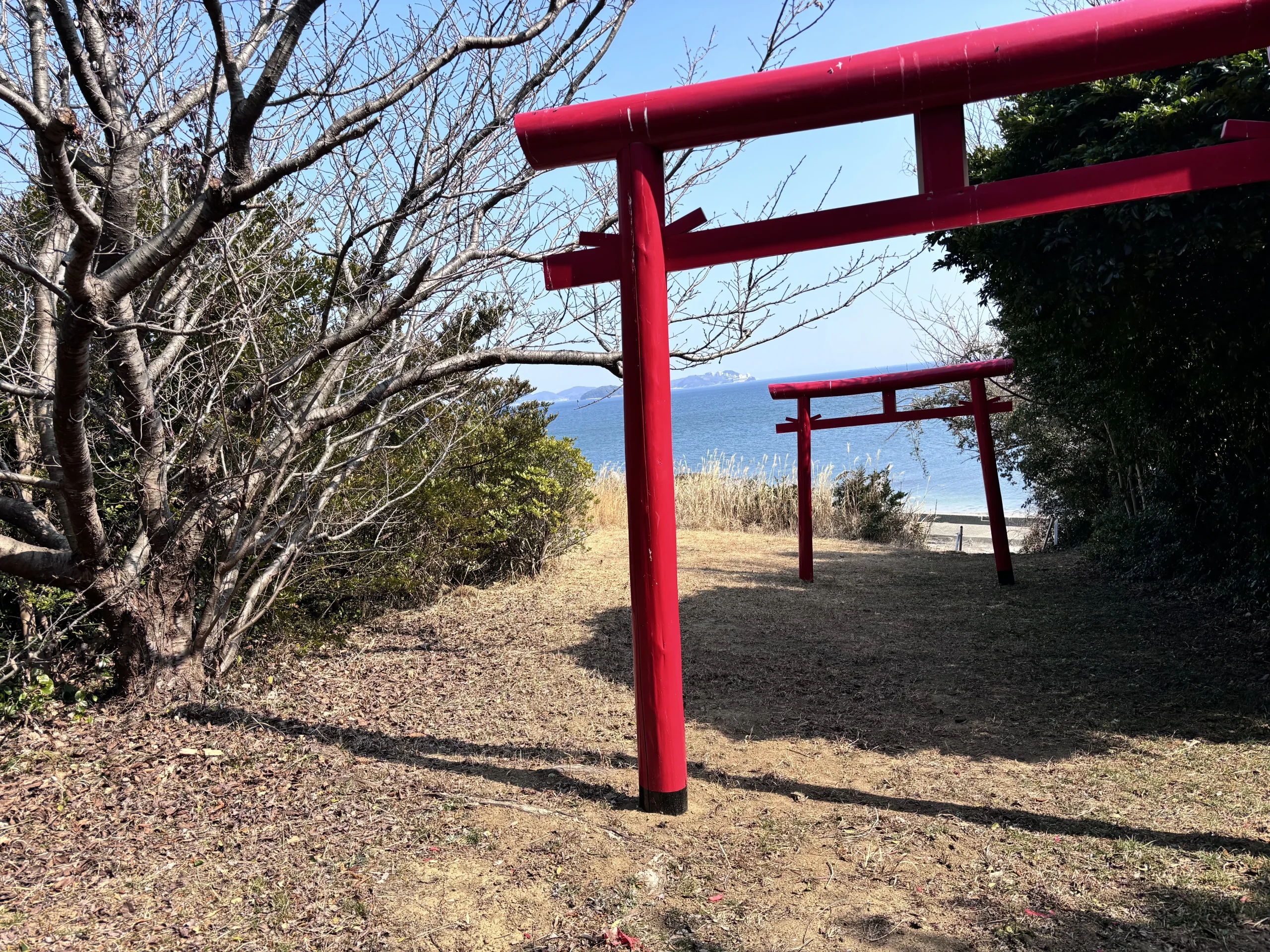 島にひっそり佇む、歴史を感じる鳥居。